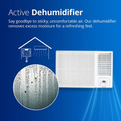 Voltas 2 Ton 2 Star Fixed Speed Window AC (242 Vectra Plus, White)