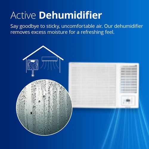 Voltas 2 Ton 2 Star Fixed Speed Window AC (242 Vectra Plus, White)