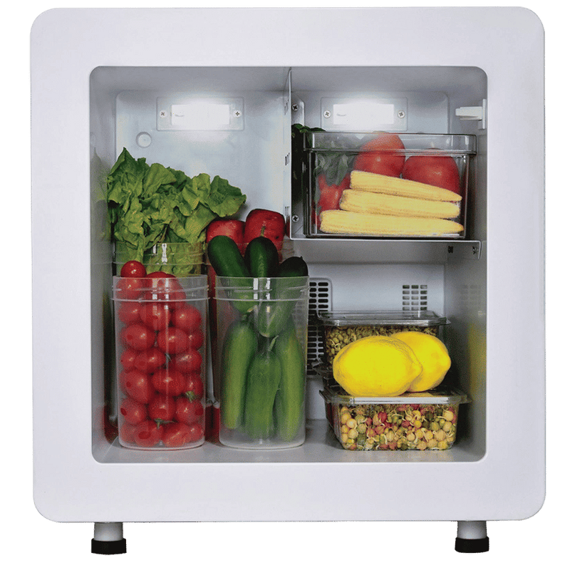 Godrej Qub30 Litres Frost Free Single Door Refrigerator with Solid State Electronic Cooling (TEC QUBE 30L HS Q103, Black)