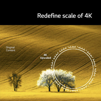 LG UQ8020 108 cm (43 inch) 4K Ultra HD WebOS TV with 2.0 Channel Speaker