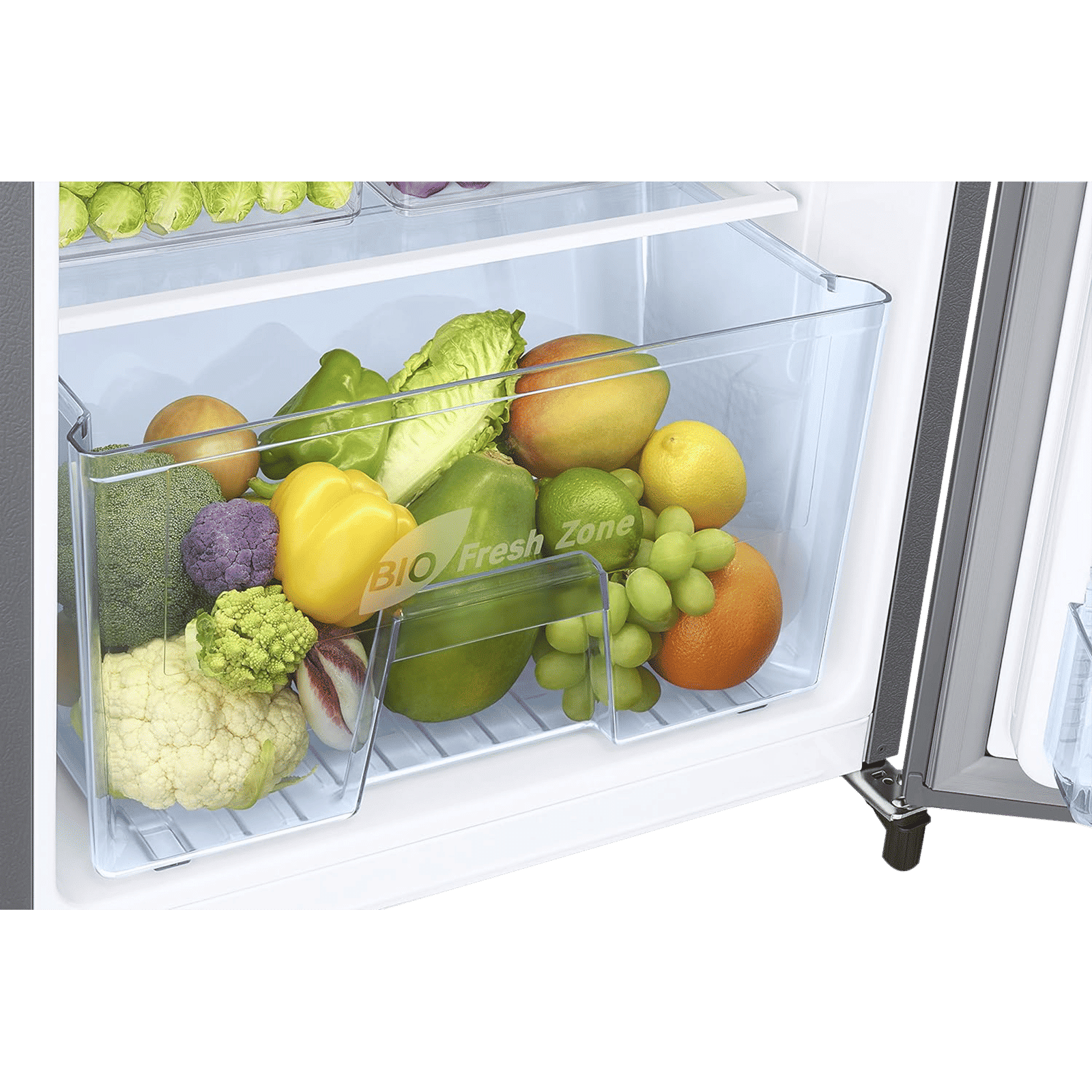 SAMSUNG Stylish Grande 183 Litres3 Star Direct Cool Single Door Refrigerator with Anti Bacterial Gasket (RR20C2Y23S8/HL, Elegant Inox)