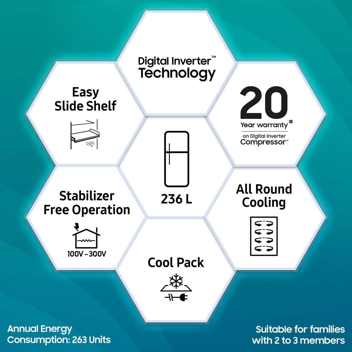 SAMSUNG 236 Litres 2 Star Frost Free Double Door Refrigerator with Power Cut Resistant (RT28C3032GS/HL, Gray Silver)