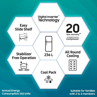 SAMSUNG 236 Litres 2 Star Frost Free Double Door Refrigerator with Power Cut Resistant (RT28C3032GS/HL, Gray Silver)