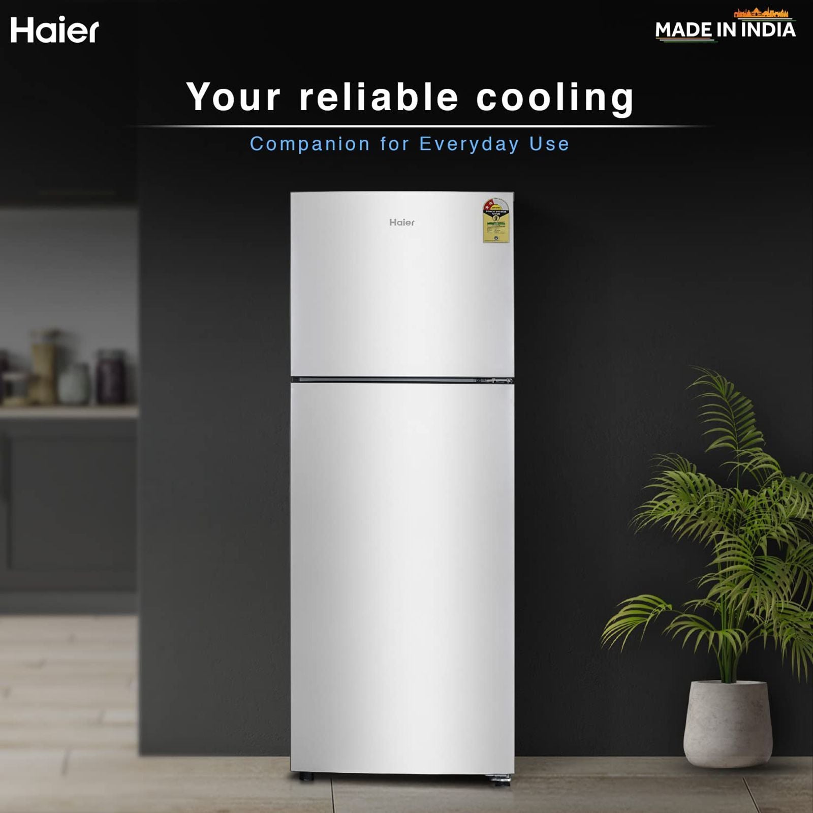 Haier 240 Litres 2 Star Frost Free Double Door Refrigerator with Anti-bacterial Gasket (HEF-252EGS-P, Moon Silver)