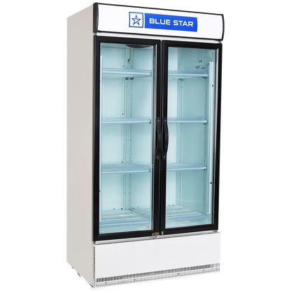 Blue Star 947 Litres Direct Cool Double Door Refrigerator with Temperature Settings (SC1000F, White)