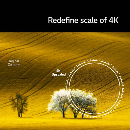 LG UQ7500 139.7 cm (55 inch) 4K Ultra HD LED WebOS TV with α5 Gen5 AI Processor (2022 model)