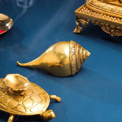 Brass Conch On Tortoise (4.5 Inch)
