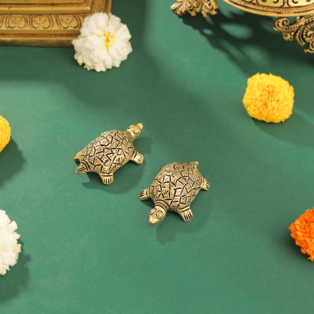Brass Tortoise Vastu/Feng Shui Pair (0.8 Inch)