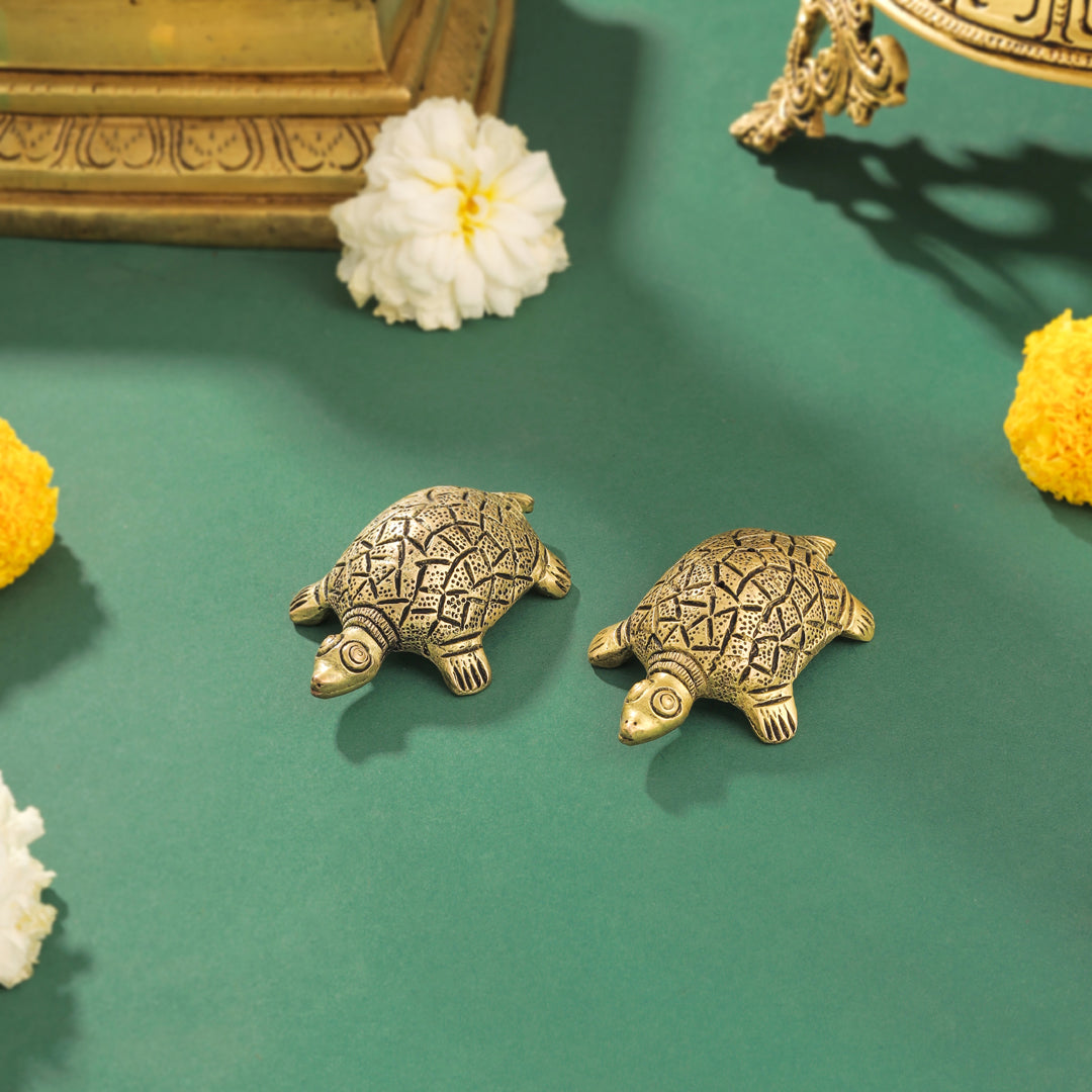 Brass Tortoise Vastu/Feng Shui Pair (0.8 Inch)