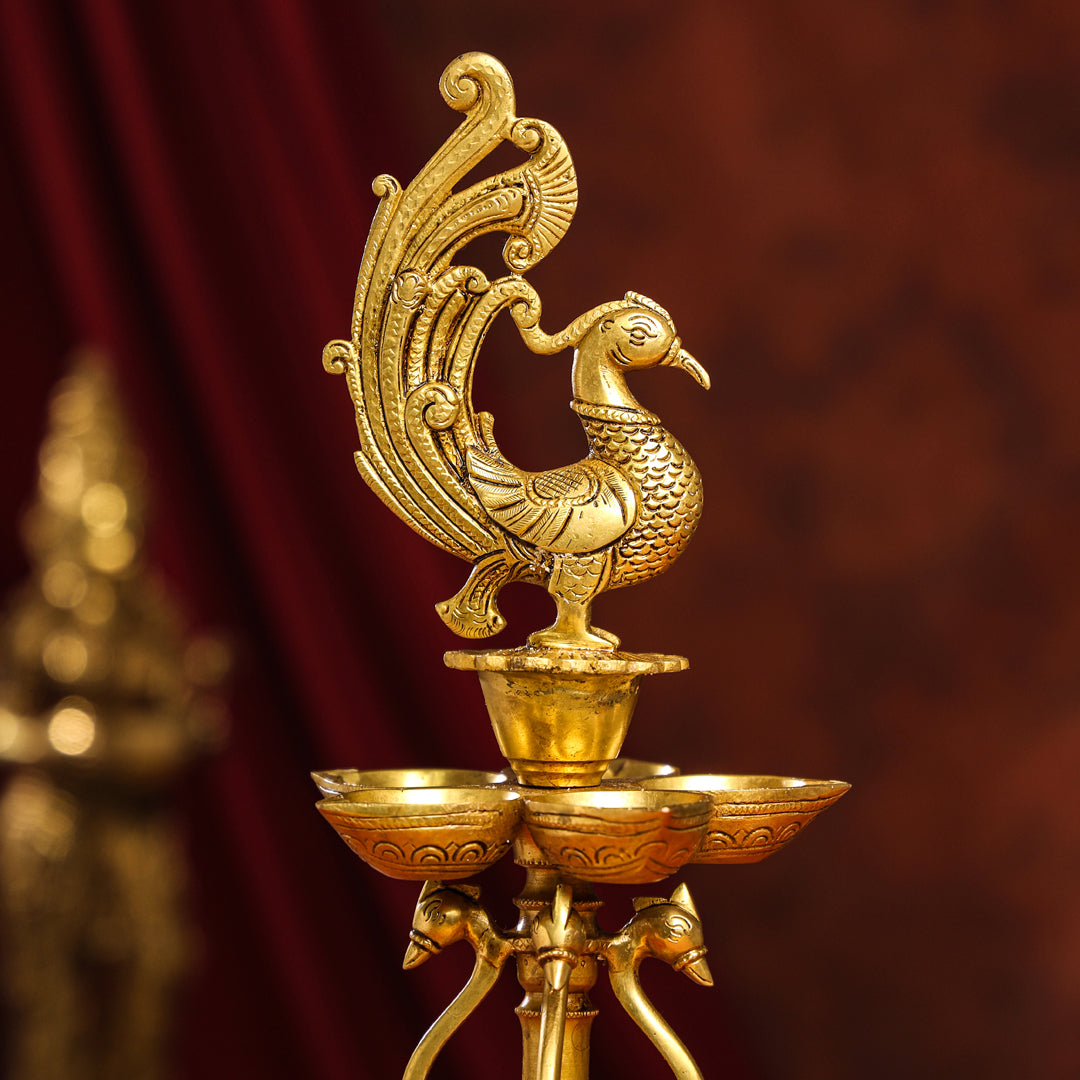 Brass Twelve Petal Peacock Long Lamp (20 Inch)