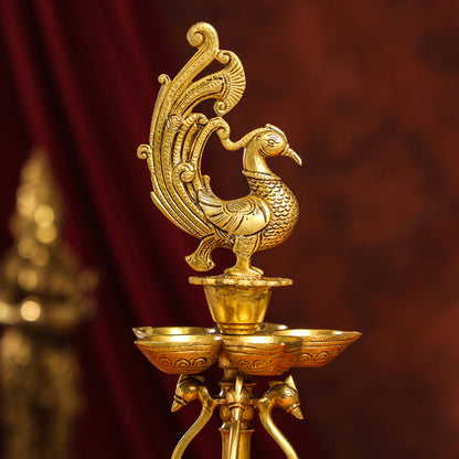 Brass Twelve Petal Peacock Long Lamp (20 Inch)