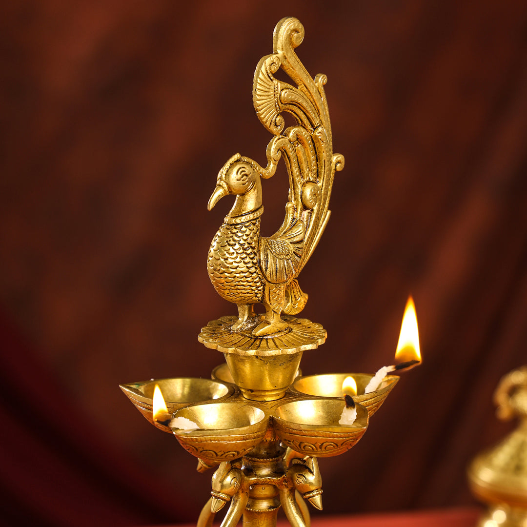 Brass Twelve Petal Peacock Long Lamp (20 Inch)