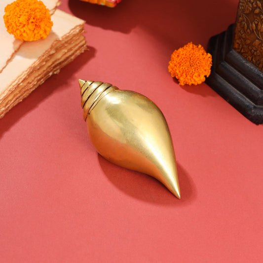 Brass Conch (5 Inch)