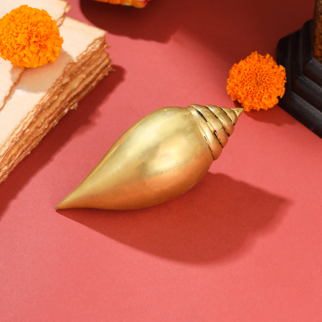Brass Conch (5 Inch)