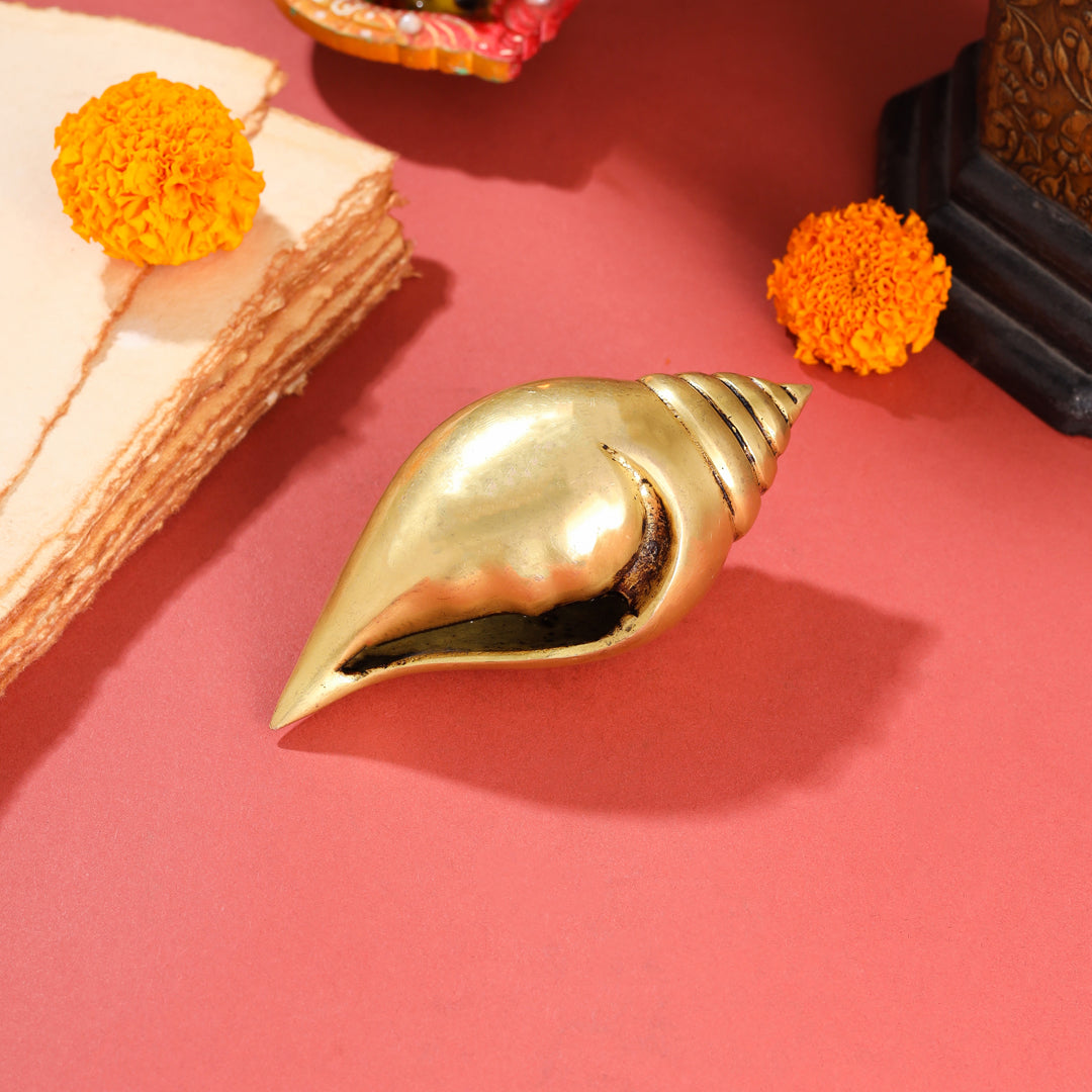 Brass Conch (5 Inch)