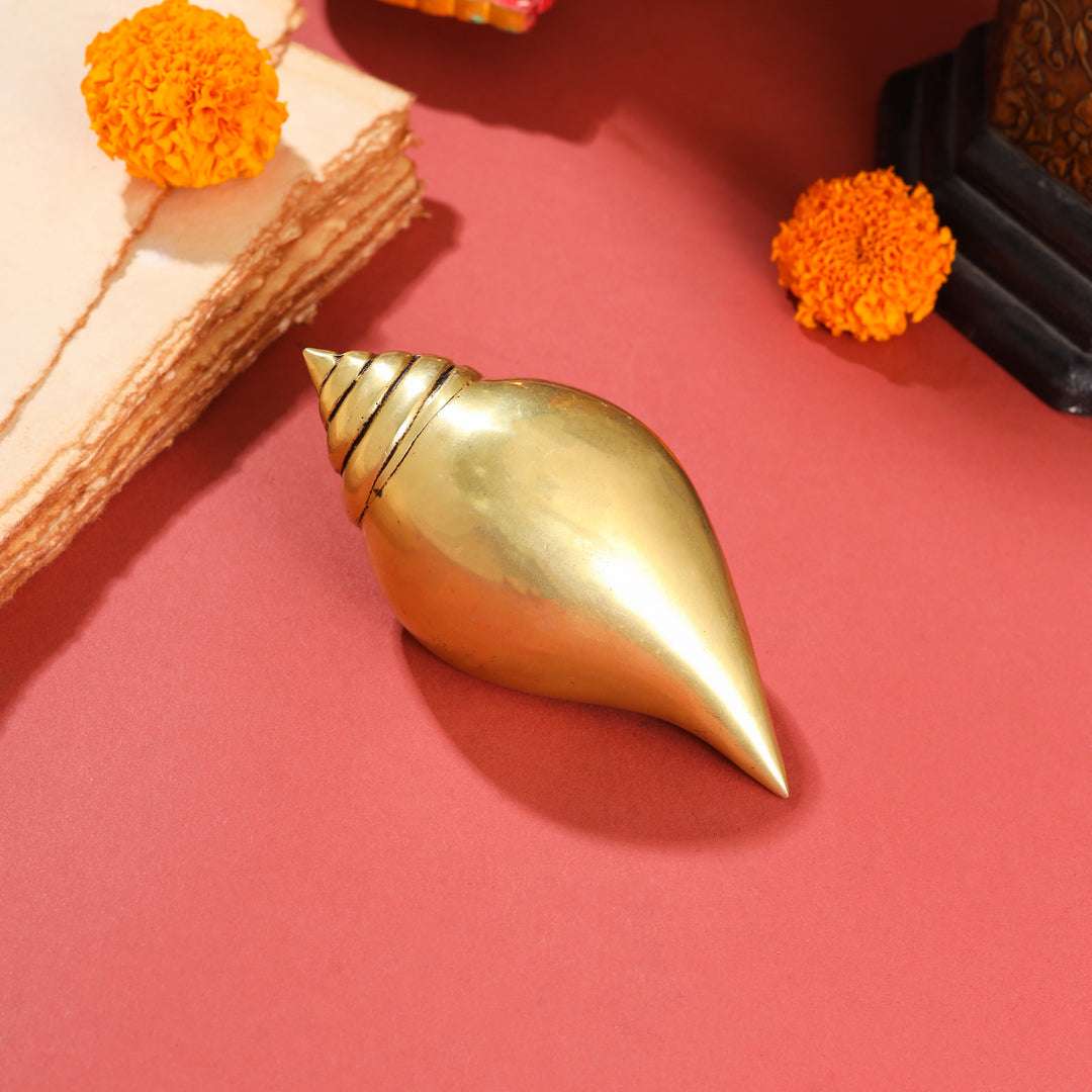 Brass Conch (5 Inch)