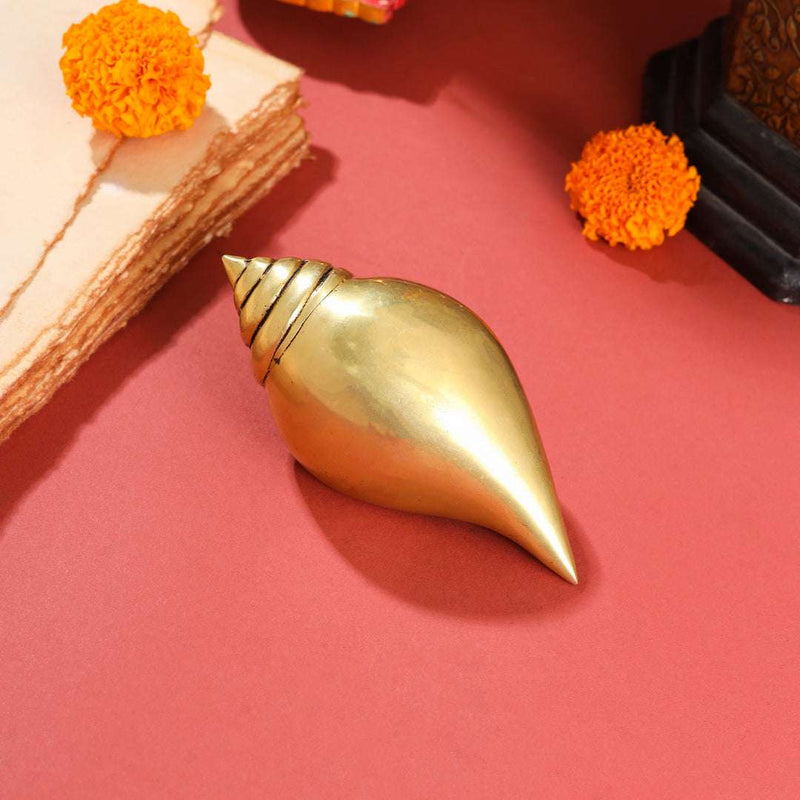 Brass Conch (5 Inch)