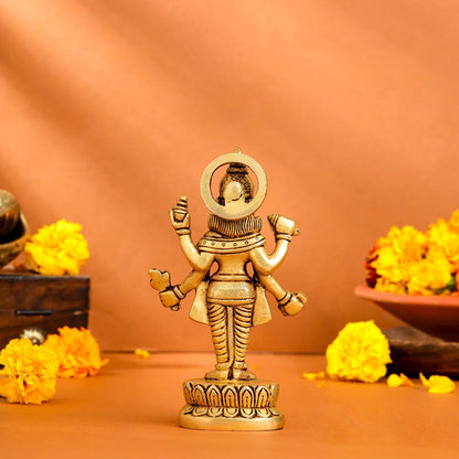Brass Lord Dhanvantari Idol (6 Inch)
