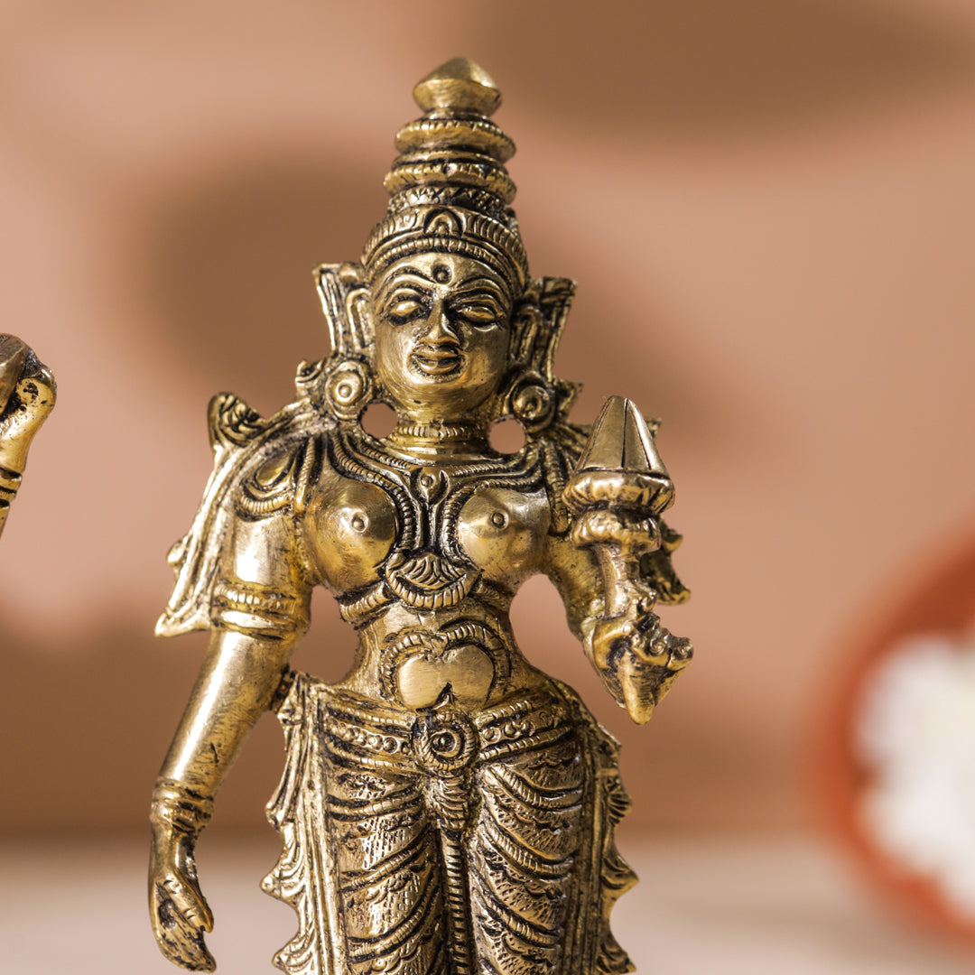 Brass Vishnu Lakshmi Set (6 Inch)