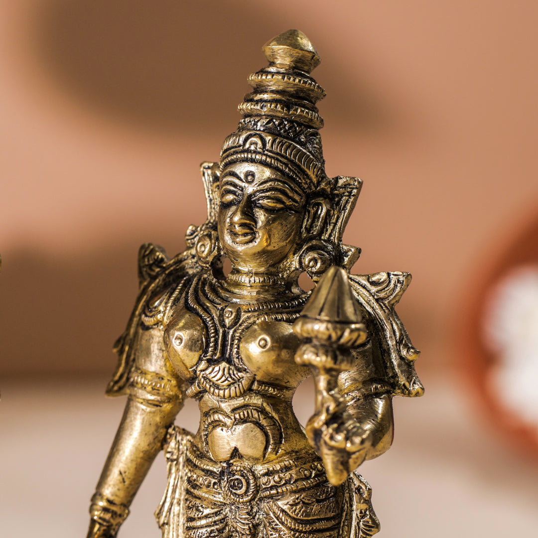 Brass Vishnu Lakshmi Set (6 Inch)