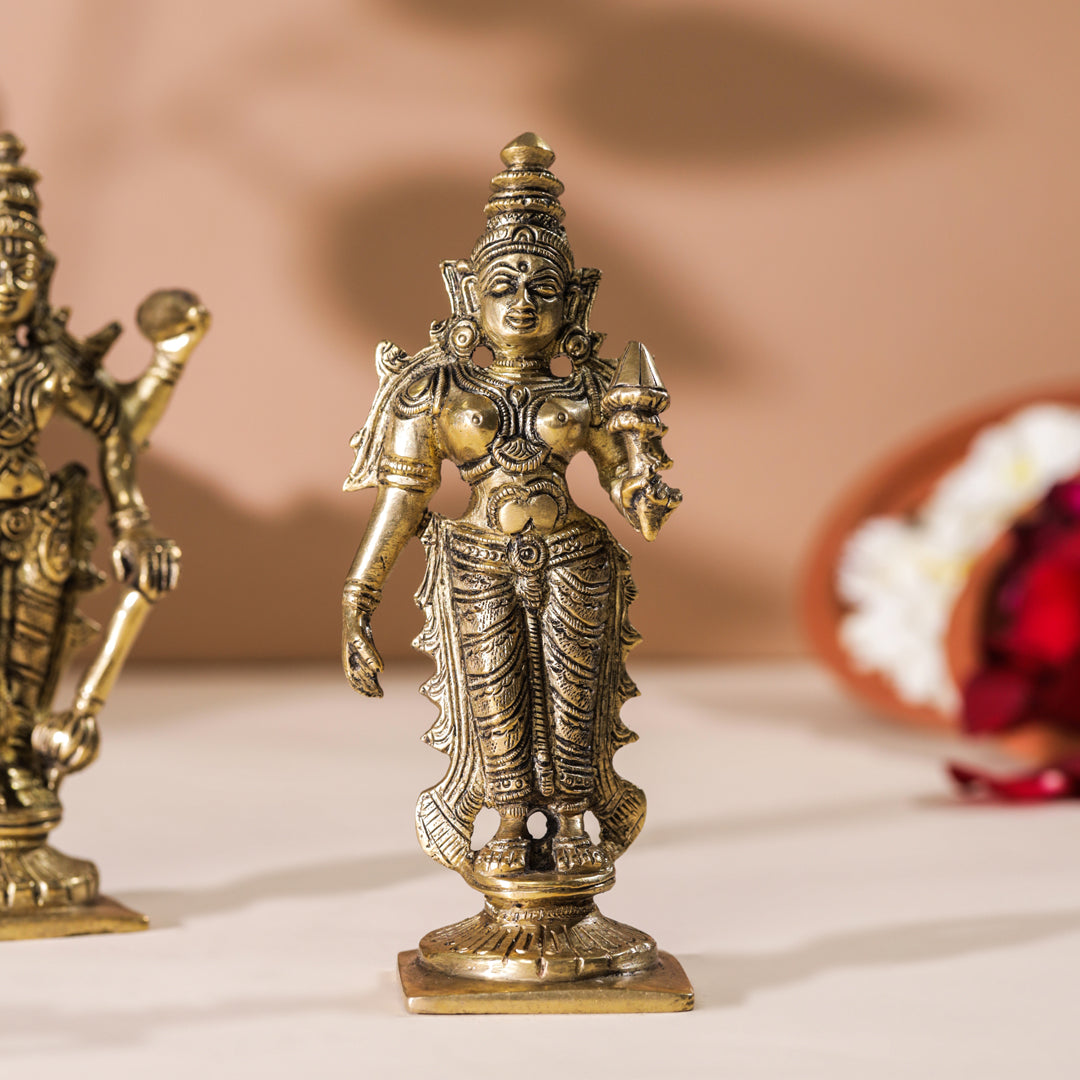 Brass Vishnu Lakshmi Set (6 Inch)
