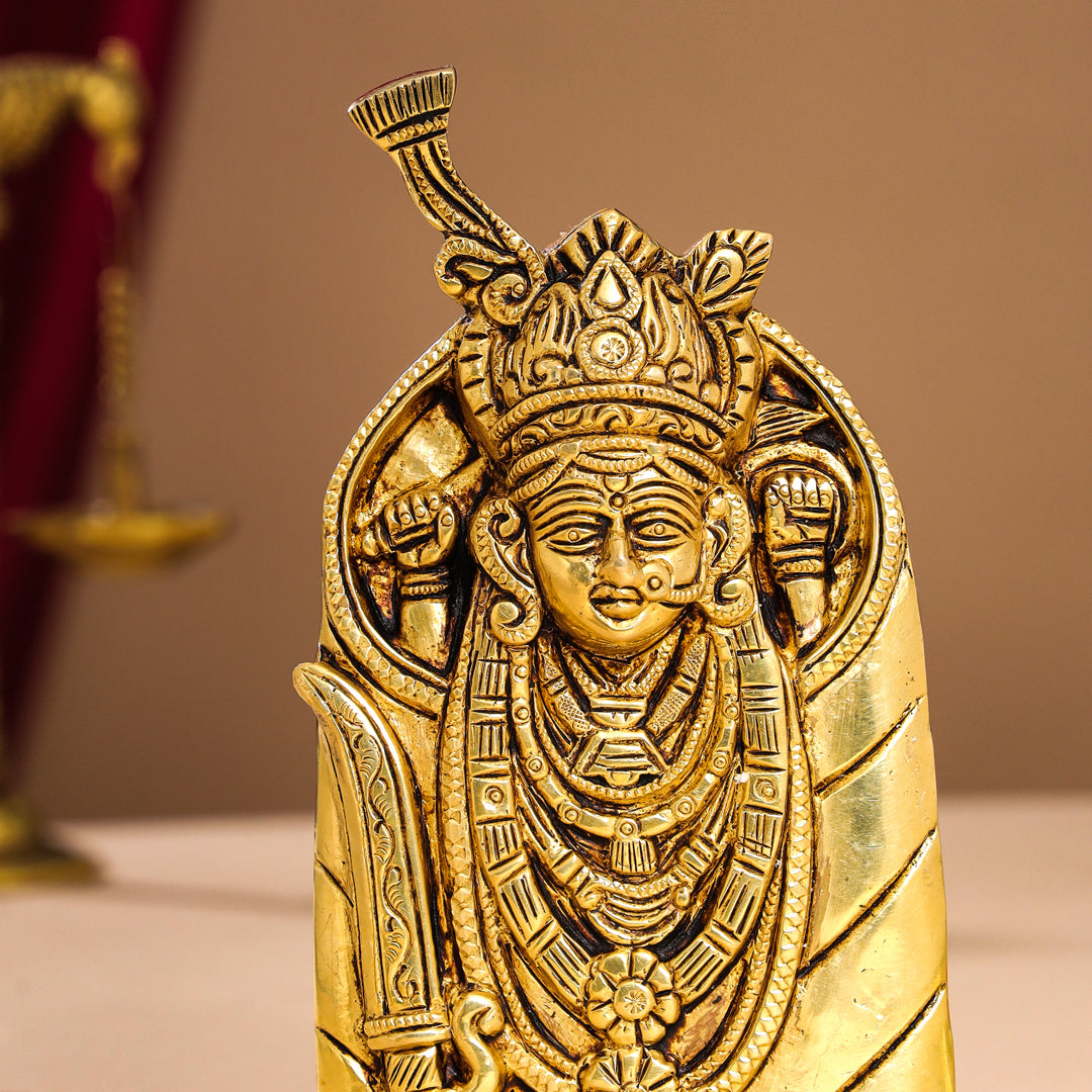 Brass Aashapura Maa Idol