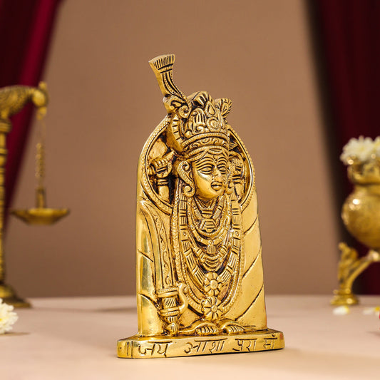 Brass Aashapura Maa Idol