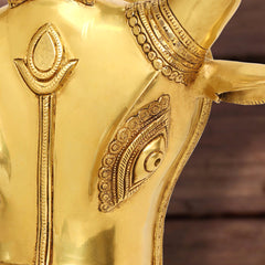 Brass Bull Head Wall Hanging (18 Inch)