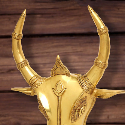 Brass Bull Head Wall Hanging (18 Inch)