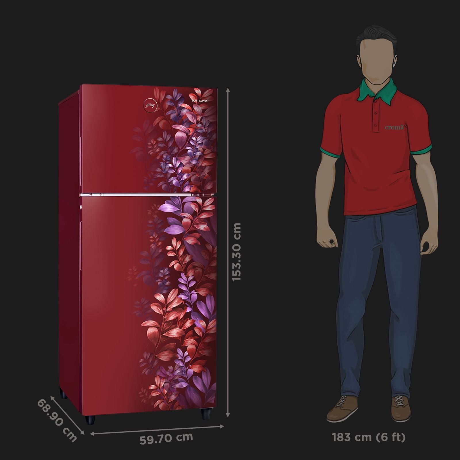 Godrej Eon Alpha 233 Litres 2 Star Frost Free Double Door Refrigerator with Cool Balance Technology (RT EONALPHA 270B RI, Aria Wine)