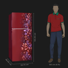 Godrej Eon Alpha 233 Litres 2 Star Frost Free Double Door Refrigerator with Cool Balance Technology (RT EONALPHA 270B RI, Aria Wine)