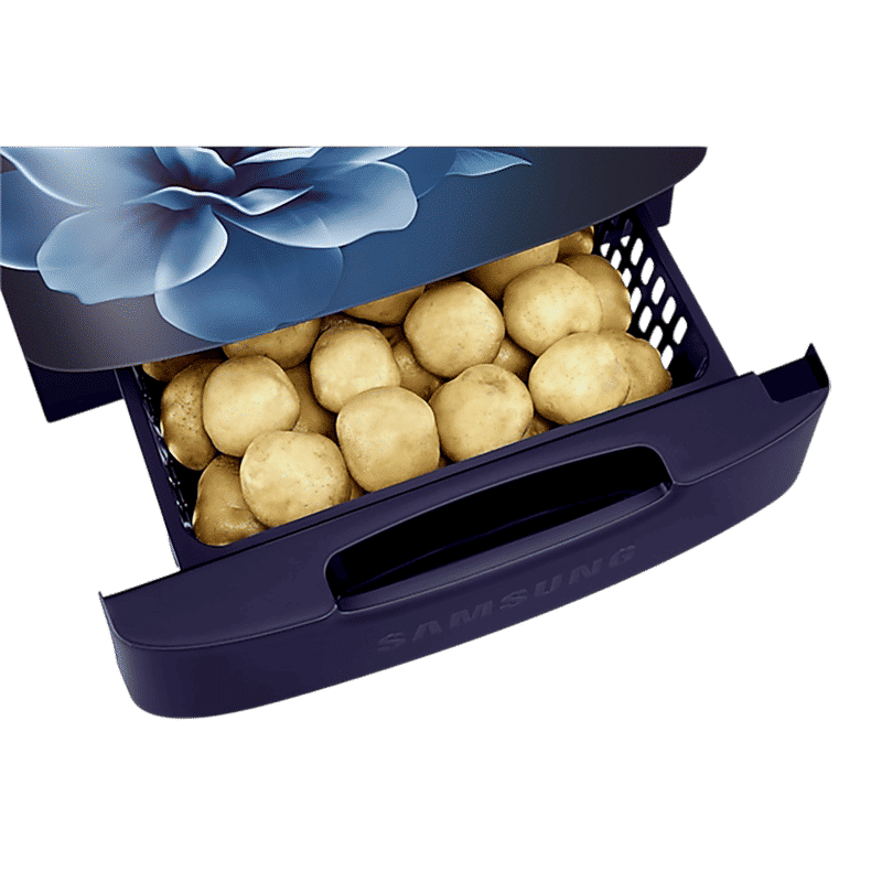 SAMSUNG Stylish Grande 223 Litres3 Star Direct Cool Single Door Refrigerator with Anti Bacterial Gasket (RR24D2Z23CU/NL, Camellia Blue)