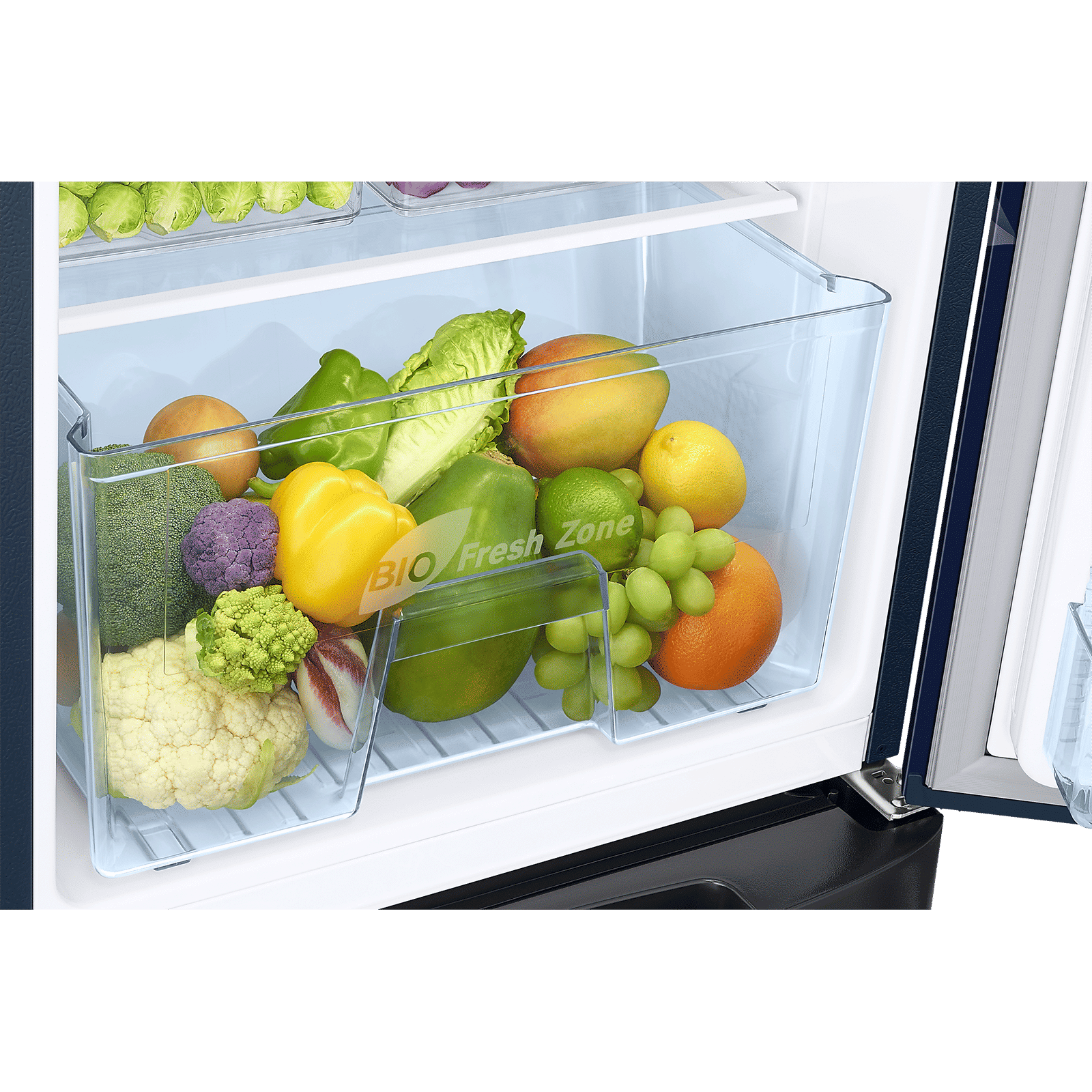 SAMSUNG Stylish Grande 183 Litres 5 Star Direct Cool Single Door Refrigerator with Anti Bacterial Gasket (RR20D2825HV/NL, Blue Arctic)