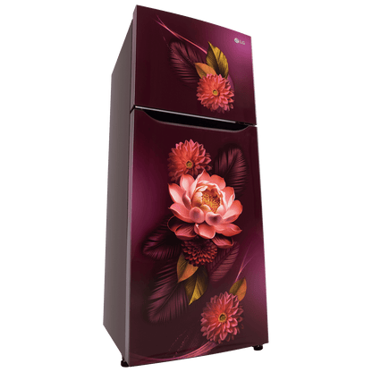 LG 240 Litres 2 Star Frost Free Double Door Convertible Refrigerator with Smart Diagnosis (GL-S292SRWY, Red Water Lily)