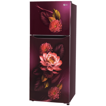 LG 240 Litres 2 Star Frost Free Double Door Convertible Refrigerator with Smart Diagnosis (GL-S292SRWY, Red Water Lily)