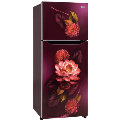 LG 240 Litres 2 Star Frost Free Double Door Convertible Refrigerator with Smart Diagnosis (GL-S292SRWY, Red Water Lily)