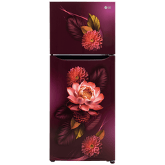 LG 240 Litres 2 Star Frost Free Double Door Convertible Refrigerator with Smart Diagnosis (GL-S292SRWY, Red Water Lily)