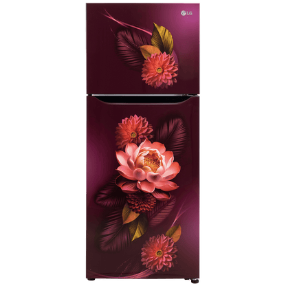 LG 240 Litres 2 Star Frost Free Double Door Convertible Refrigerator with Smart Diagnosis (GL-S292SRWY, Red Water Lily)