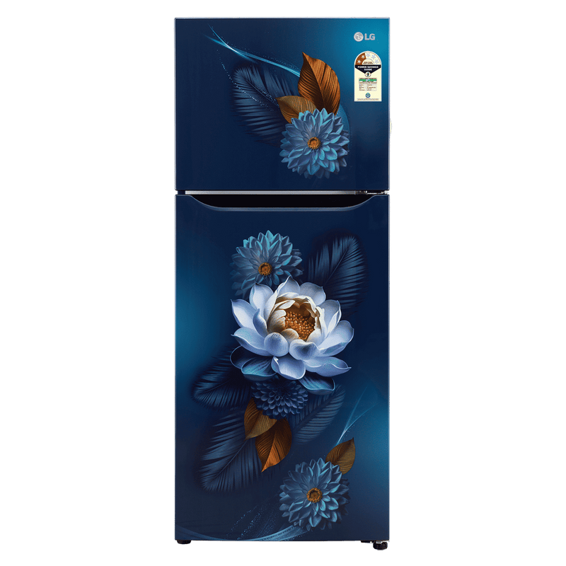 LG 240 Litres 2 Star Frost Free Double Door Convertible Refrigerator with Smart Diagnosis (GL-S292SBWY, Blue Water Lily)