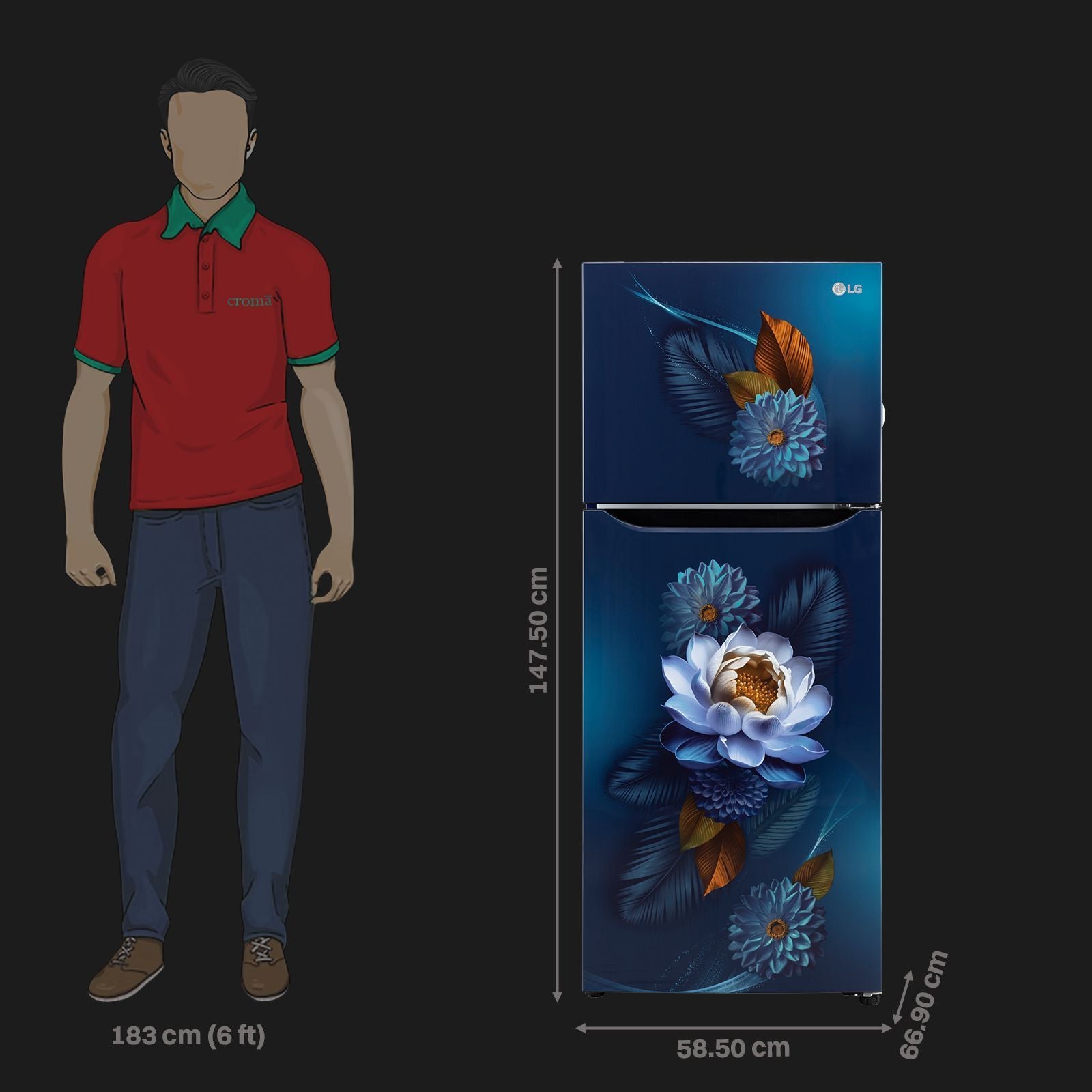 LG 240 Litres 2 Star Frost Free Double Door Convertible Refrigerator with Smart Diagnosis (GL-S292SBWY, Blue Water Lily)