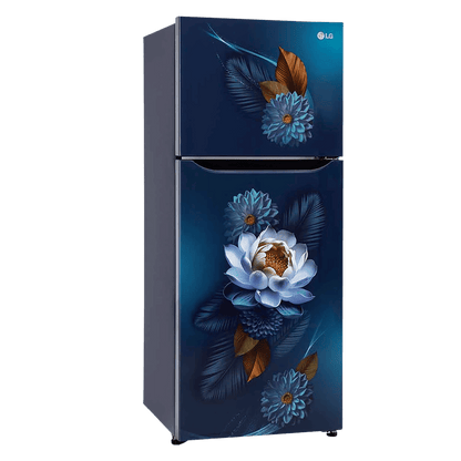 LG 240 Litres 2 Star Frost Free Double Door Convertible Refrigerator with Smart Diagnosis (GL-S292SBWY, Blue Water Lily)