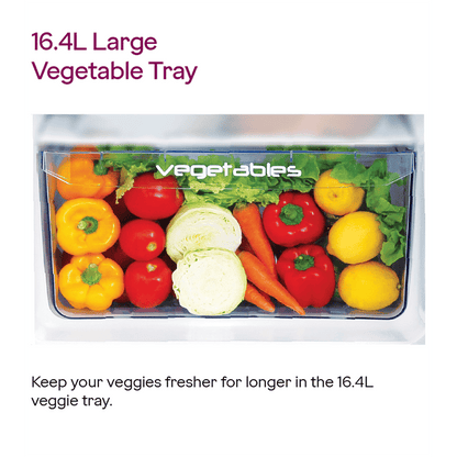 Godrej Edge Marvel 184 Litres 2 Star Direct Cool Single Door Refrigerator with Advanced Capillary Technology (RD EMARVEL 207B TDF, Fossil Steel)