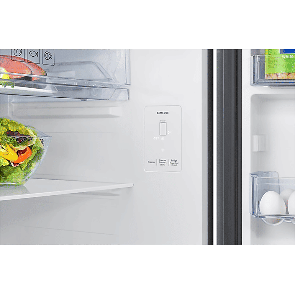 SAMSUNG 419 Litres 2 Star Frost Free Double Door Smart Wifi Enabled Refrigerator with Digital Inverter Compressor (RT45DG6A2BSLHL, Real Stainless)