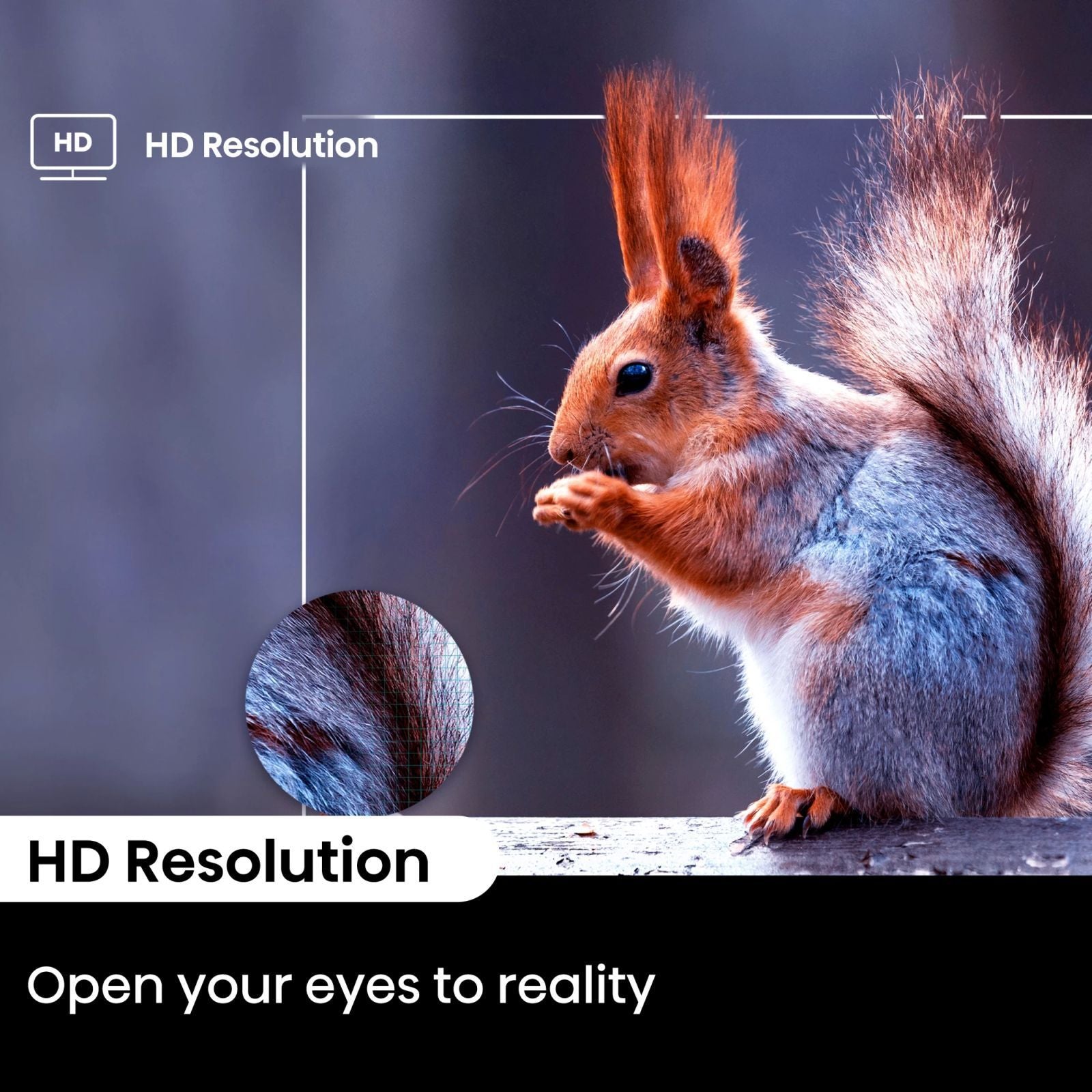 Hisense E43N 109.22 cm (43 inch) Full HD LED Smart Google TV with Dolby Audio (2024 model)