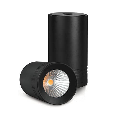 Philips 12W LED Surface COB (NW)