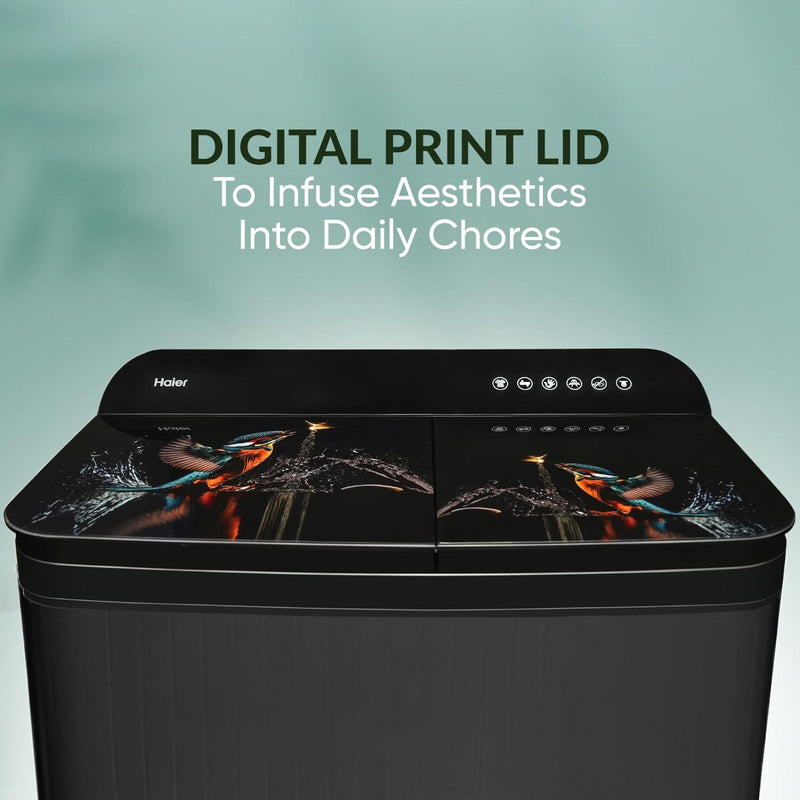Haier 9 kg Semi Automatic Washing Machine with Softfall Techonology (HTW90-178FL, Black)