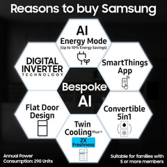 SAMSUNG 419 Litres 2 Star Frost Free Double Door Smart Wifi Enabled Refrigerator with Bespoke AI (RT45DG6A2BS8HL, Elegant Inox)