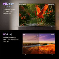 Haier M80F 189 cm (75 inch) 4K Ultra HD Mini LED Google TV with Google Assistant Support (2025 model)