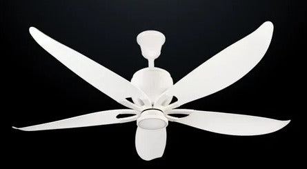 USHA 56", CAMELLIA BLDC REMOTE LIGHT, CEILING, WHITE