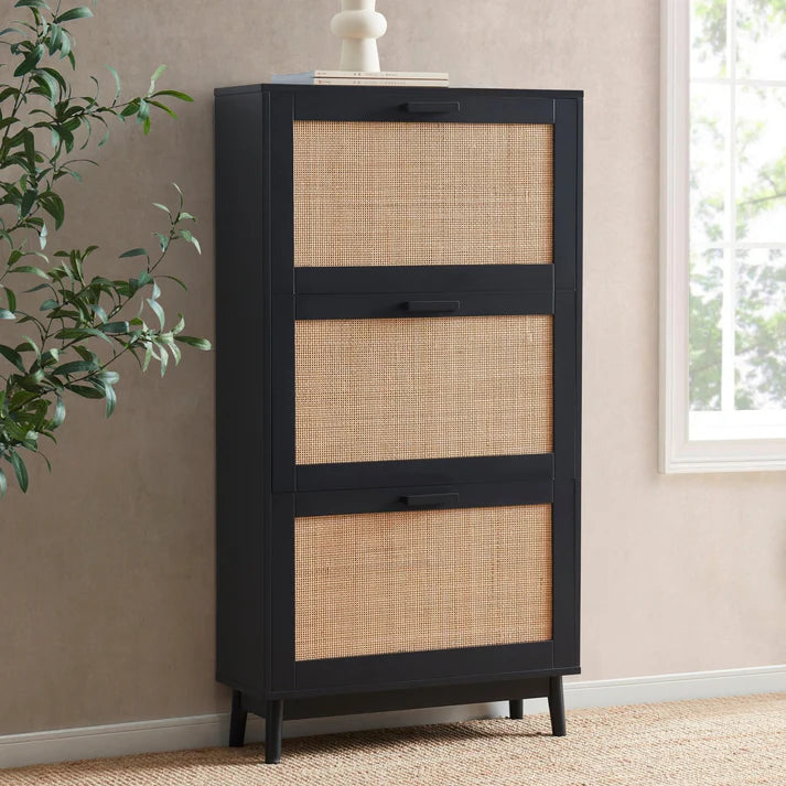 Canora Shoe Cabinet
